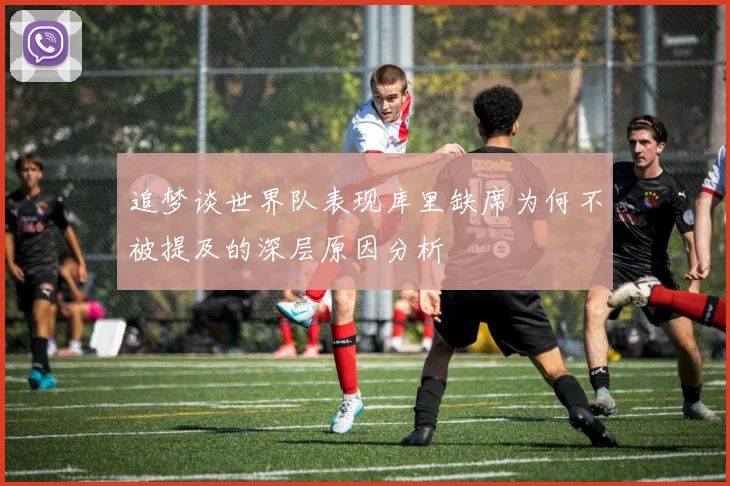 追梦谈世界队表现库里缺席为何不被提及的深层原因分析